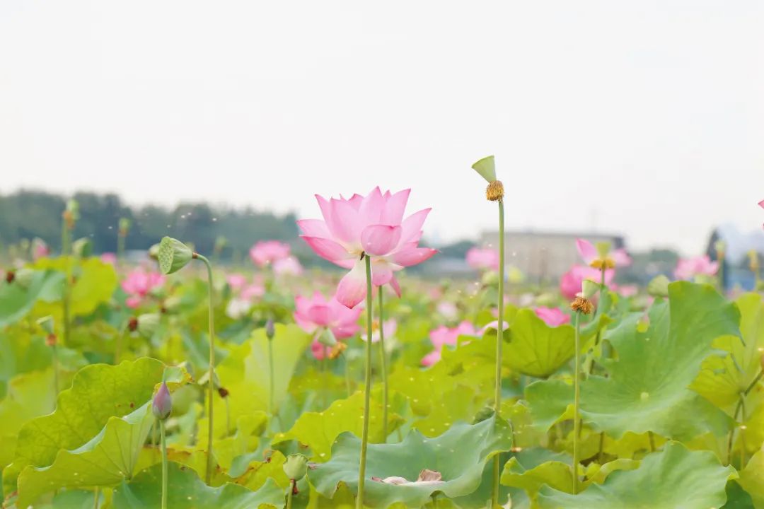 微信图片_20230720150726.jpg 图片