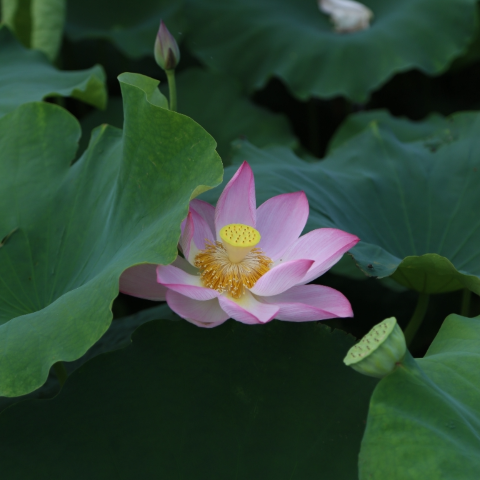 微信图片_20230720150740.jpg 图片